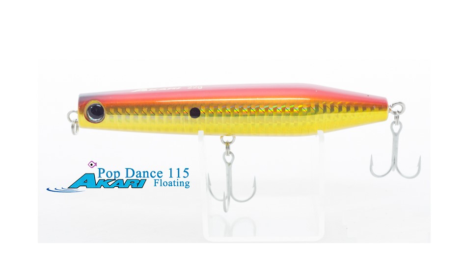 Akari-Pop-Dancer-115-05-1(1)-Copy268502433647