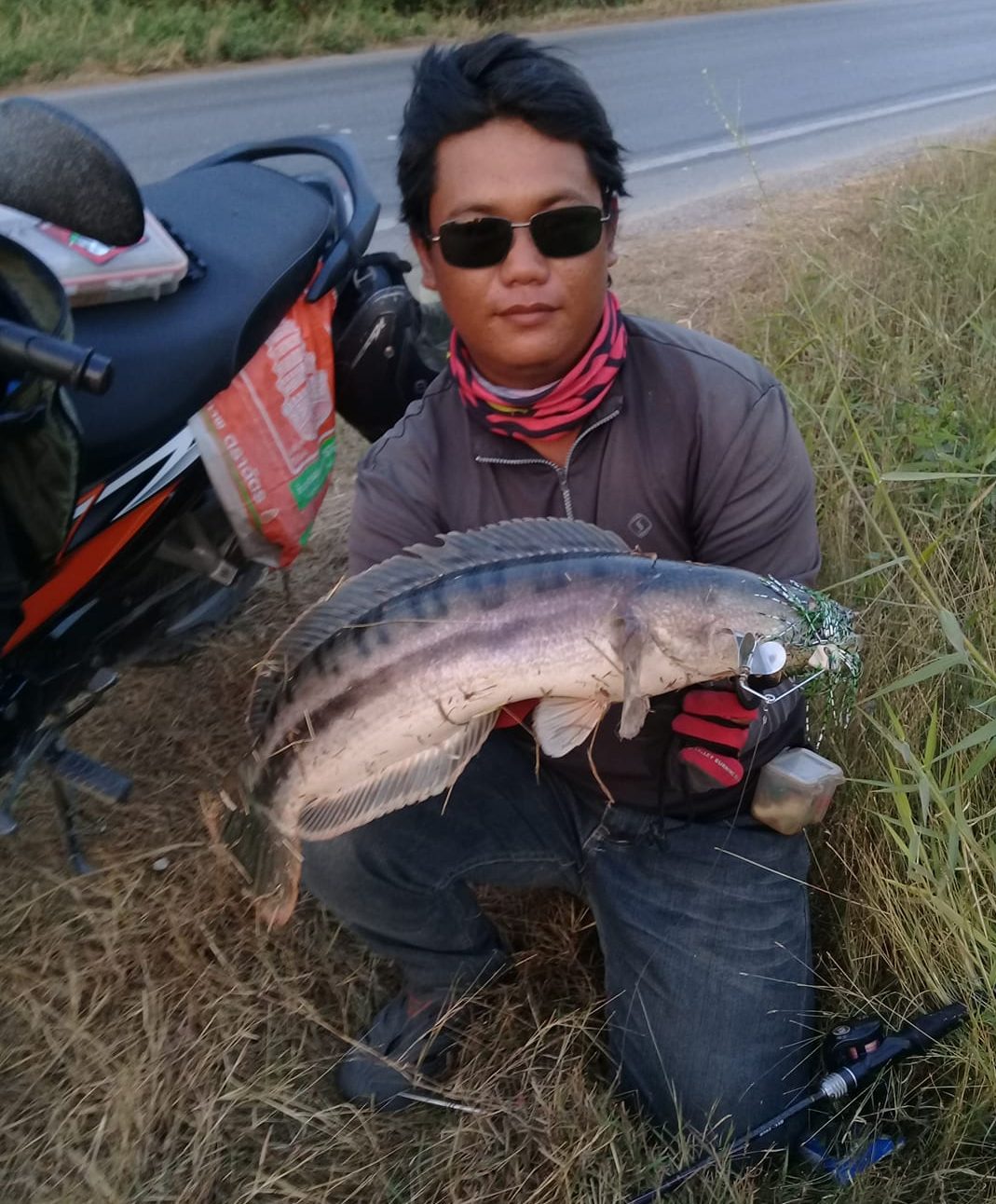 mồi câu buzz bait